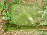 image of grave number 260392